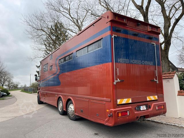 Cattle truck SCANIA Pferdetransporter