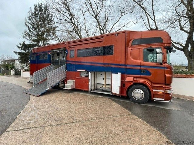 Cattle truck SCANIA Pferdetransporter