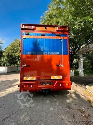 Cattle truck SCANIA Pferdetransporter