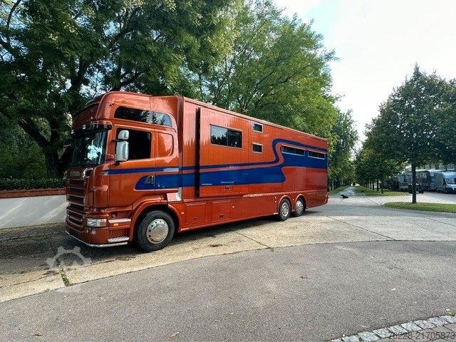 Cattle truck SCANIA Pferdetransporter