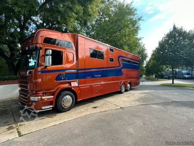 Cattle truck SCANIA Pferdetransporter