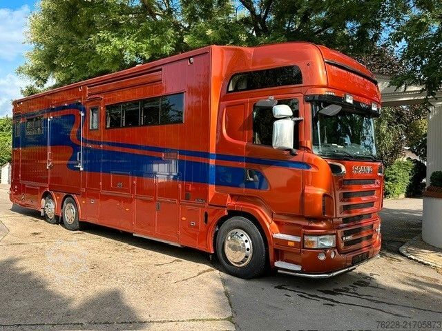 Cattle truck SCANIA Pferdetransporter