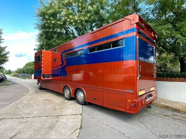 Cattle truck SCANIA Pferdetransporter