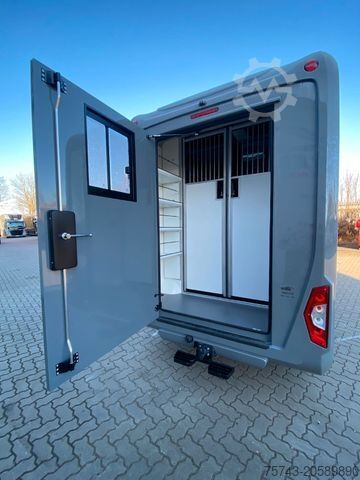 Livestock transporter MERCEDES-BENZ STX Sprinter  3.500KG  Haras Hengste