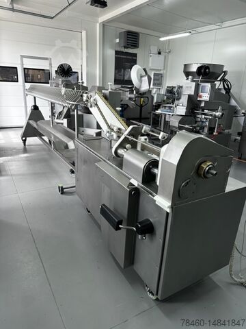 Meat processing machine Handtmann PVLH-228