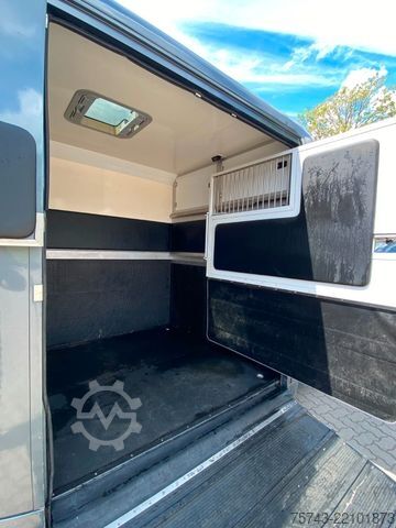 Livestock transporter RENAULT Master STX 3 Sitzer  Automatik Haras / Hengste