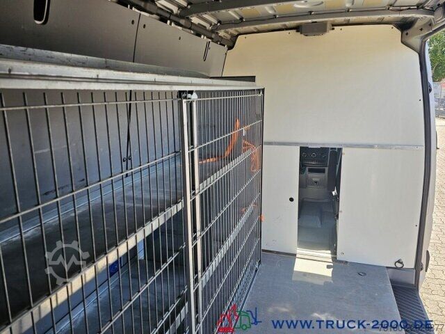 Kastenwagen Mercedes-Benz Sprinter 314 CDI Extralang Hoch 1.Hand Regalausbau