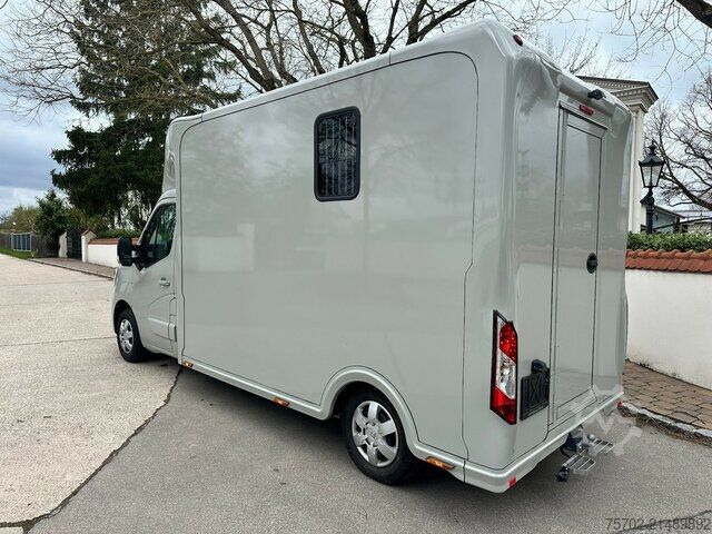 Van Renault Master Haras 1-2 Pferde