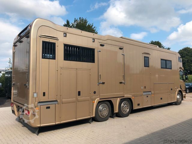 Cattle truck SCANIA P410 STX 6 Pferde Pop-Out, Pop-Up, Küche unten