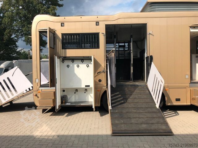 Cattle truck SCANIA P410 STX 6 Pferde Pop-Out, Pop-Up, Küche unten