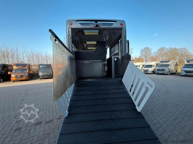 Viehtransporter LKW VOLVO FM 420 STX 8 Pferde