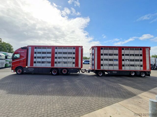 Cattle transport Volvo FH 13.500 6x2 - Livestock 4 deck Finkl + Finkl ...