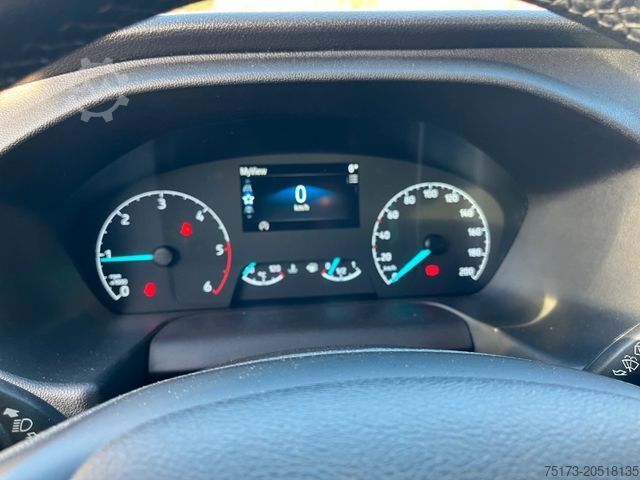 Kleinbus FORD Transit 350L3H2 Trend WinterPaket GRA Klima DAB