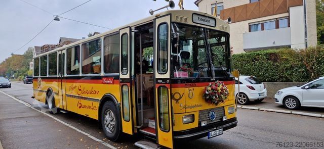 Reisebus  Oldtimer Paket Saurer LC 4 und Volvo B 10 Lauber