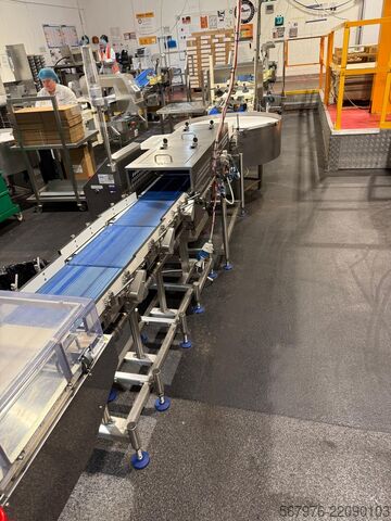 Flow wrapper Fuji Packaging / Loma Systems Complete FW3410CX Packing Line