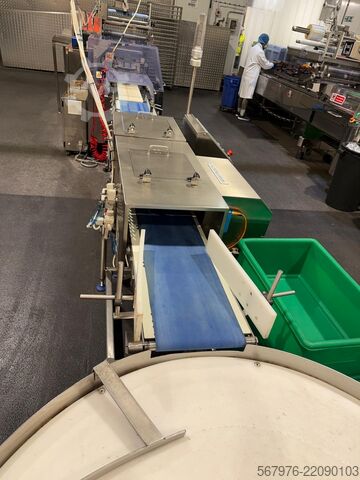 Flow wrapper Fuji Packaging / Loma Systems Complete FW3410CX Packing Line