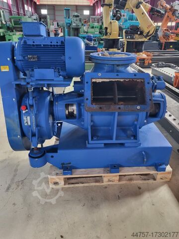 Vakuumpumpe Pumpen terom