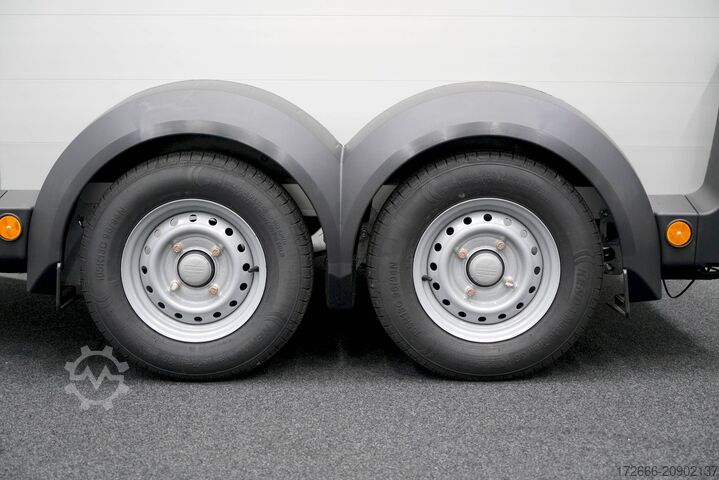 Pferdeanhänger Ifor Williams HBX 506 | SCHWARZ+SATTELKAMMER +POLSTER + 3.BREMSLEUCHTE