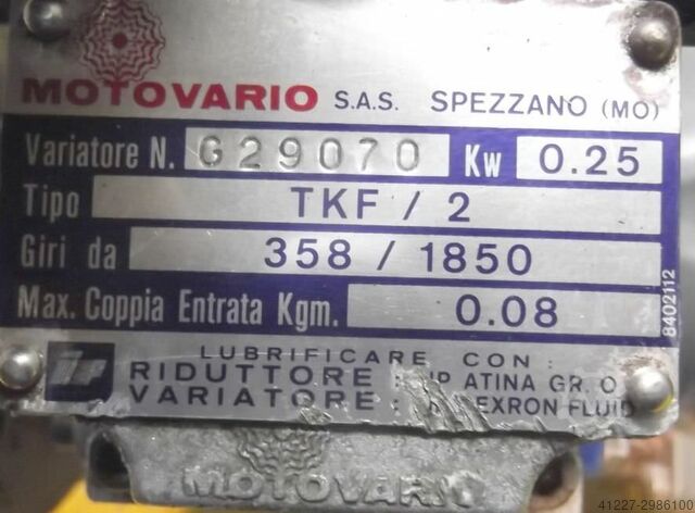 Regelbarer Getriebemotor 0,37 kW 24-115 U/min MOTOVARIO TKF/2