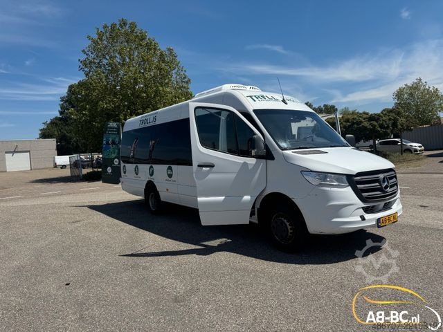 Reisebus MERCEDES-BENZ Sprinter 519 CDI