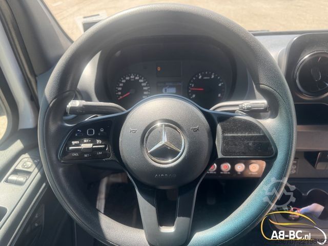 Reisebus MERCEDES-BENZ Sprinter 519 CDI