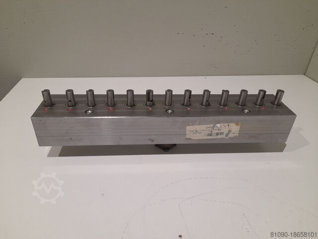 13-POINT HEAD BIESSE G462 03-10