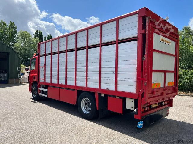 Cattle transport DAF CF 75 Livestock veewagen 1/2 stock