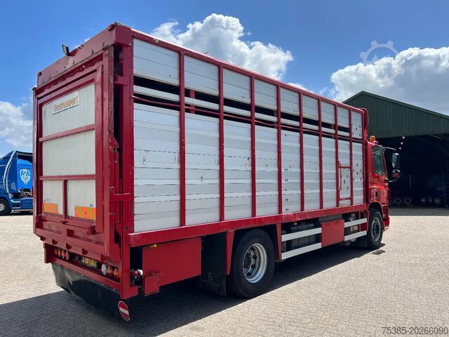Cattle transport DAF CF 75 Livestock veewagen 1/2 stock