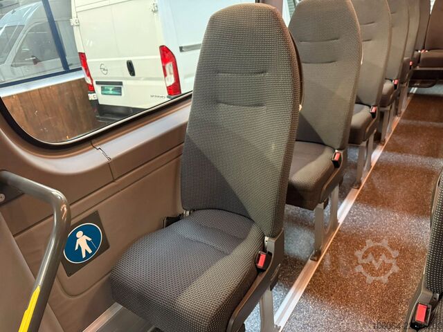 Minibus MERCEDES-BENZ Sprinter 516 Transfer 45 Evobus Klima STHZ 19+1
