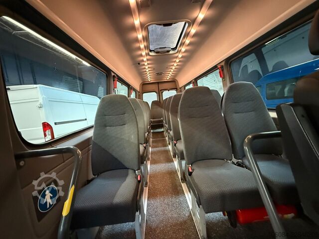 Minibus MERCEDES-BENZ Sprinter 516 Transfer 45 Evobus Klima STHZ 19+1