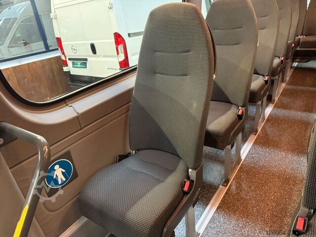 Minibus MERCEDES-BENZ Sprinter 516 Transfer 45 Evobus Klima STHZ 19+1