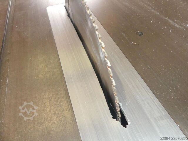 Schneider Formatkreissäge S1SM Schneider S1SM