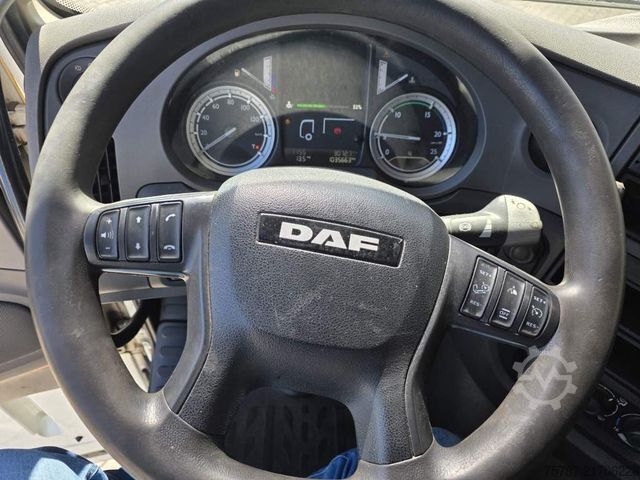 Standard tractor unit DAF XF 460 Standard + Krone Gardine Coiler Standard