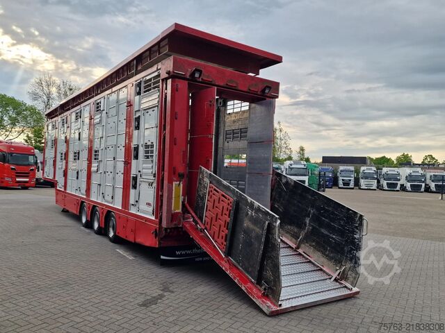 Cattle transport Finkl SAV35 - 3 deck Livestock - Water & Ventilation ...