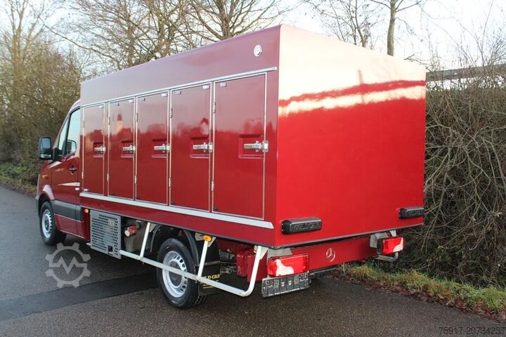 Kühltransporter MERCEDES-BENZ Sprinter 310  Euro 6 Cold Car -33°C ATP 09/29