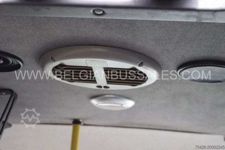 Minibus Mercedes Sprinter Automet