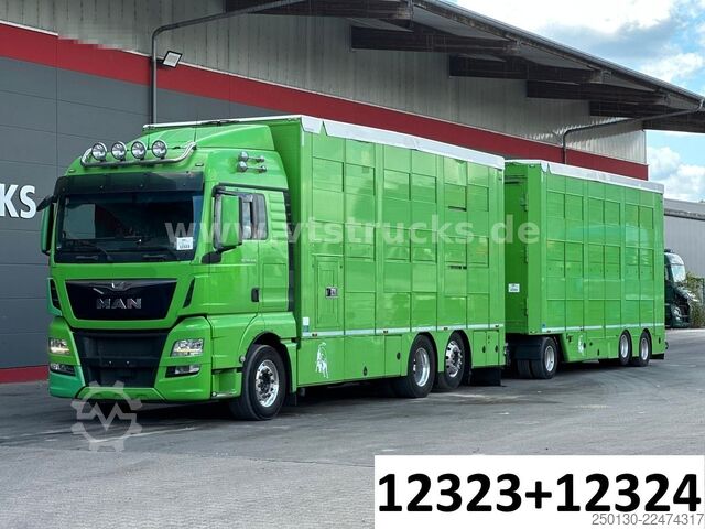 Cattle truck MAN TGX 26.440 6x2 3.Stock Cuppers Komplett-Zug