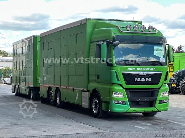 Cattle truck MAN TGX 26.440 6x2 3.Stock Cuppers Komplett-Zug