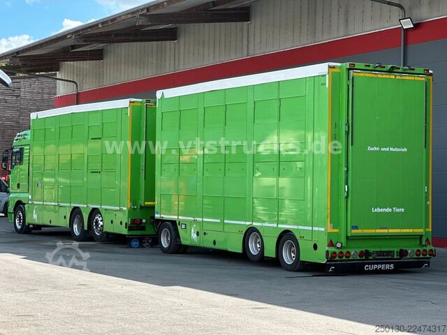 Cattle truck MAN TGX 26.440 6x2 3.Stock Cuppers Komplett-Zug