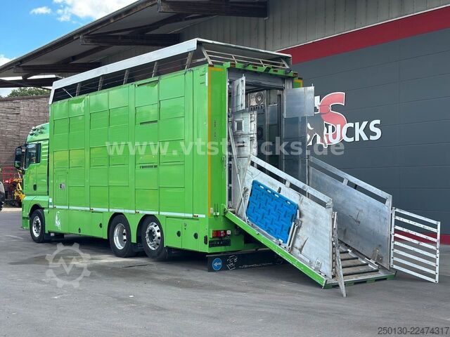 Cattle truck MAN TGX 26.440 6x2 3.Stock Cuppers Komplett-Zug