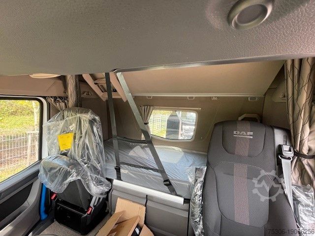 Abrollkipper DAF FAN XF 480 NGD