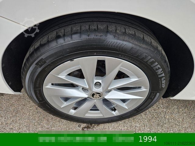 Kleinbus SKODA Octavia Combi Style 2,0TDi wenkbar