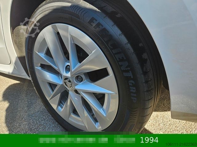 Kleinbus SKODA Octavia Combi Style 2,0TDi wenkbar