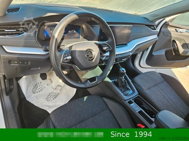 Kleinbus SKODA Octavia Combi Style 2,0TDi wenkbar
