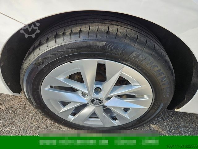 Kleinbus SKODA Octavia Combi Style 2,0TDi wenkbar