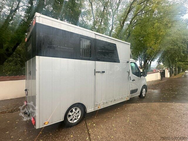 Viehtransporter Renault Master 1-2 Pferde Automatik Hengsttrennung