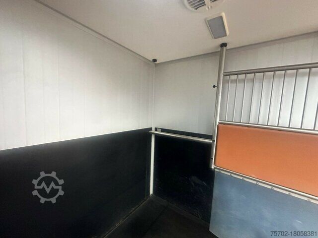 Viehtransporter Renault Master 1-2 Pferde Automatik Hengsttrennung