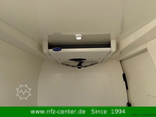 Minibus VW T6 Transporter Kühler Carrier