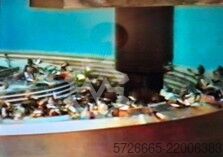 Vertical turning lathe Webster & Bennett Millennium 3-175/210 Live spindle C axis