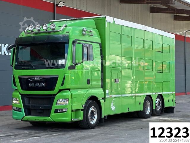 Cattle truck MAN TGX 26.440 6x2 3.Stock Cuppers, Lenk-/Lift